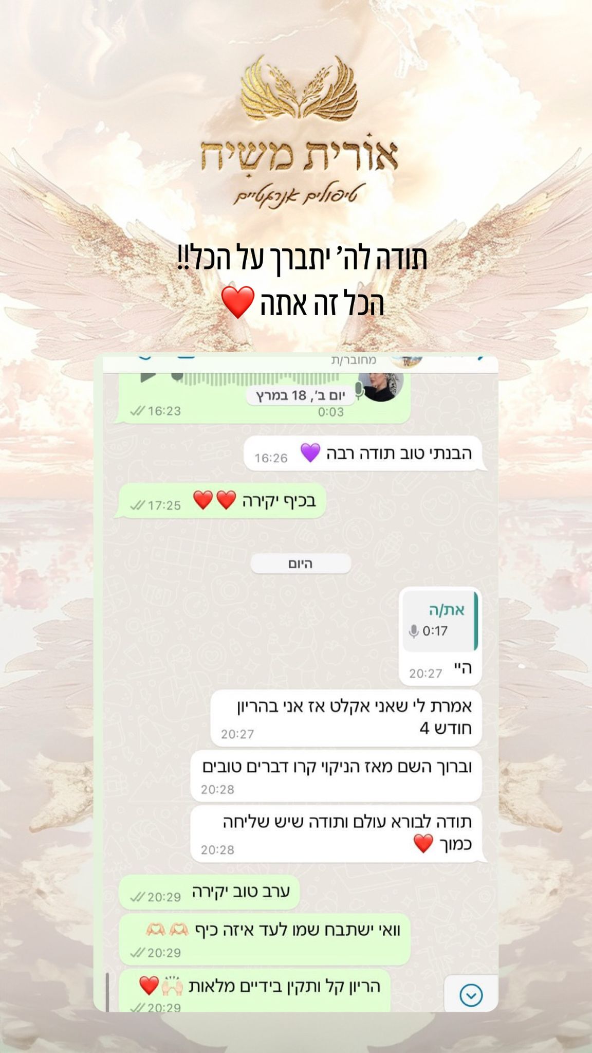 תמונה 11