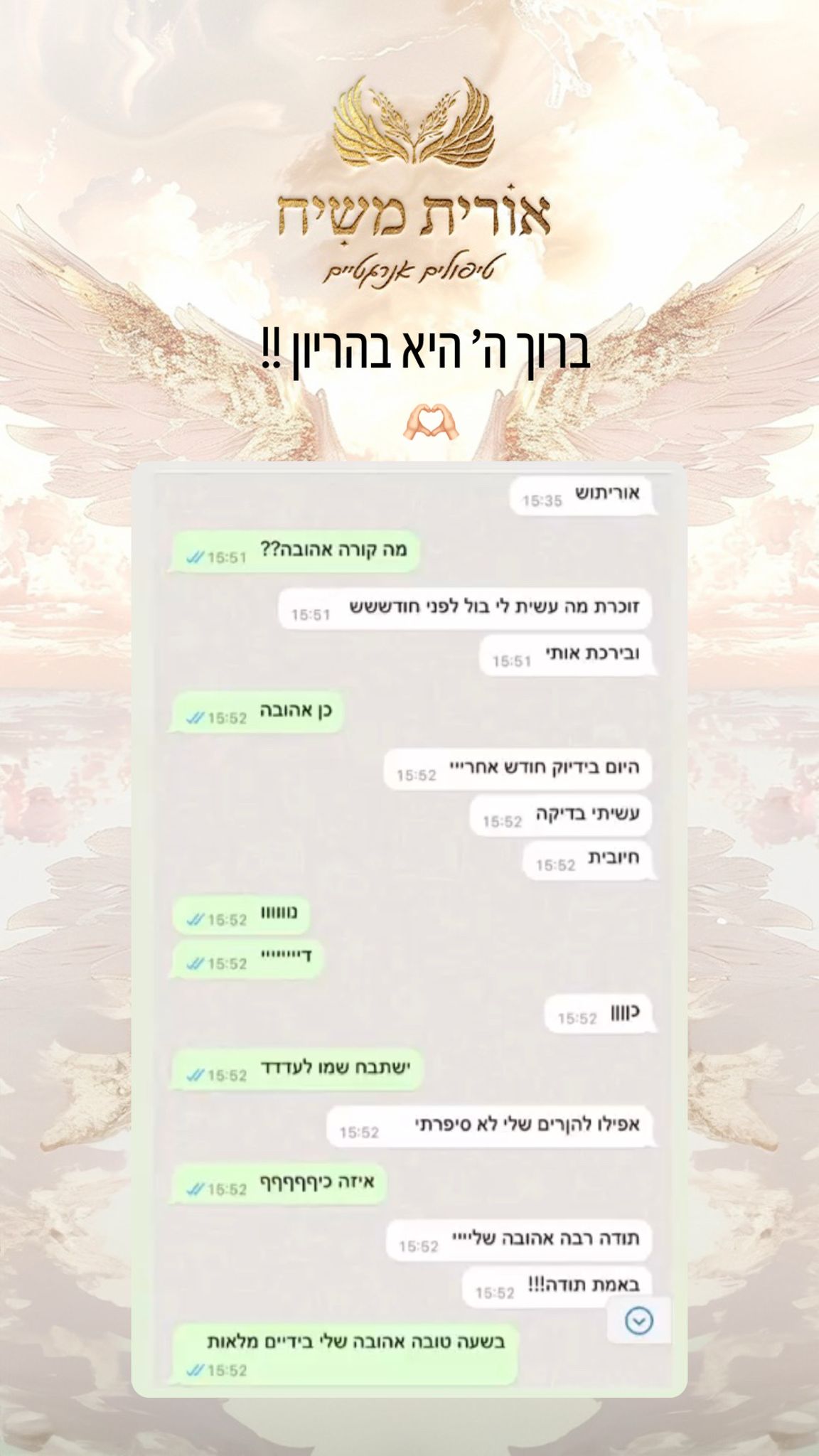 תמונה 12