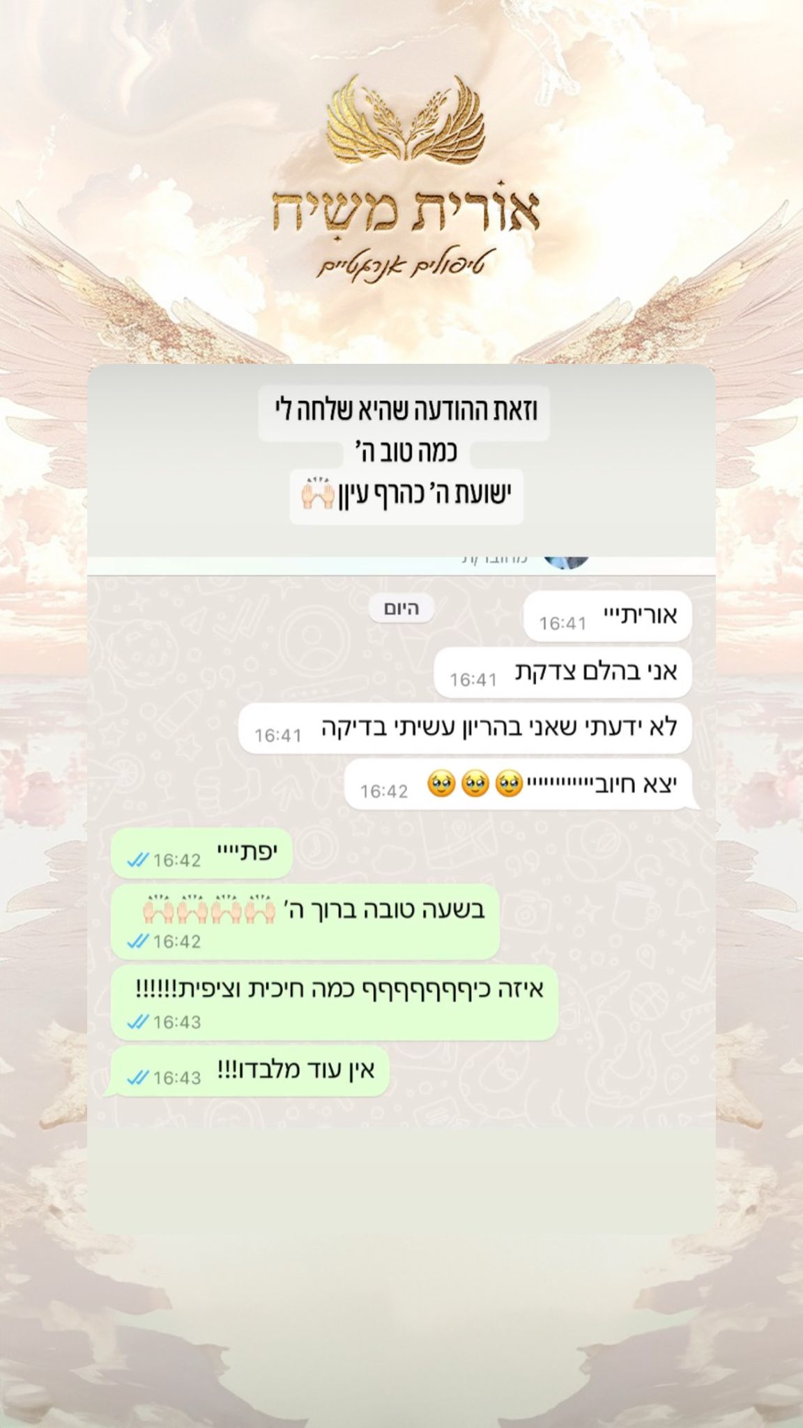 תמונה 14