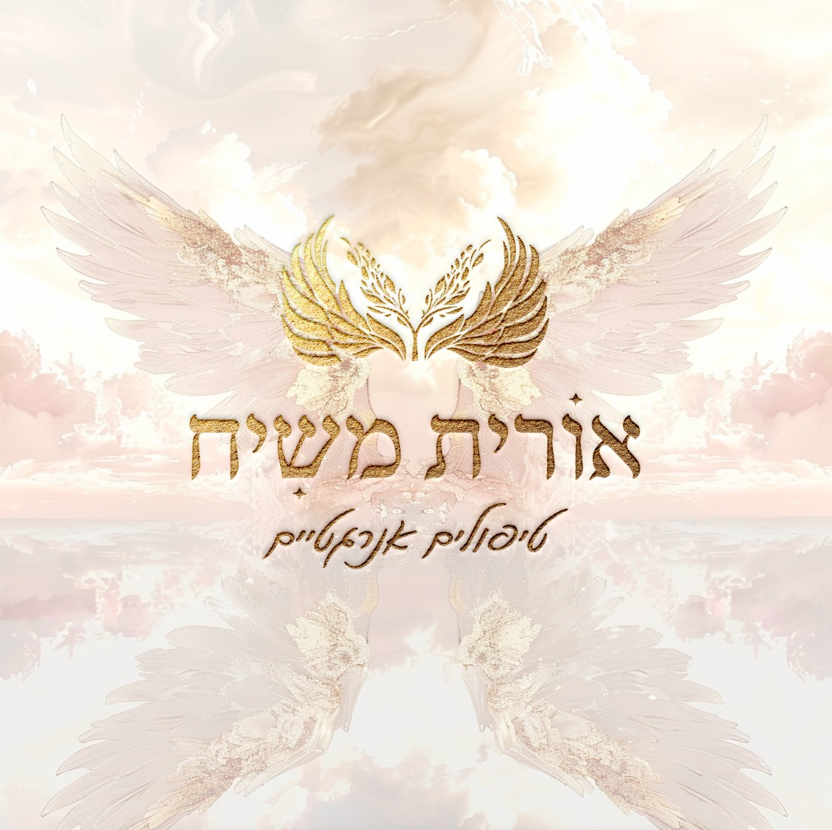 לוגו אורית משיח